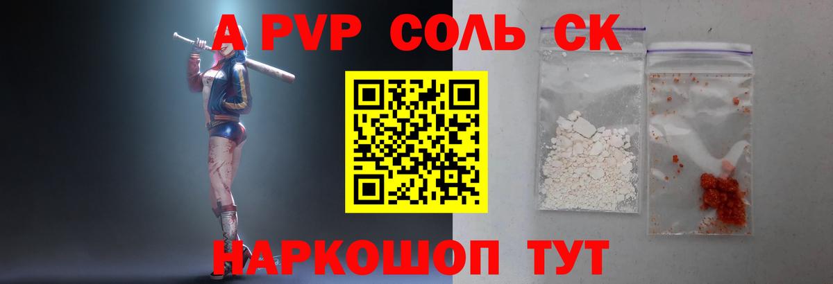 Альфа ПВП СК Владивосток