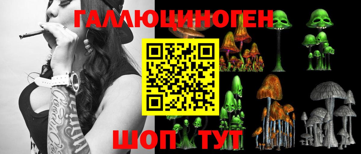Псилоцибиновые грибы Cubensis  Вход с VPN  Владивосток 