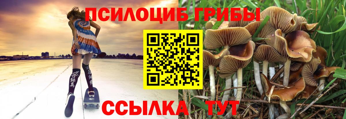 Галлюциногенные грибы Cubensis Владивосток