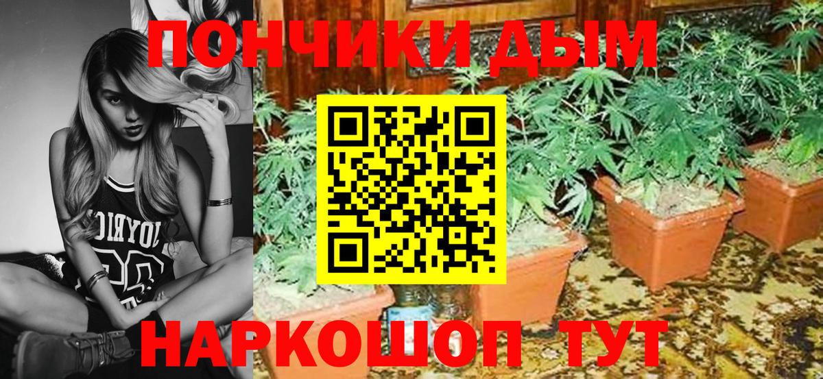 Канабис Amnesia  Вход с VPN  Владивосток  Марихуана семена  Бошки Шишки тримм 